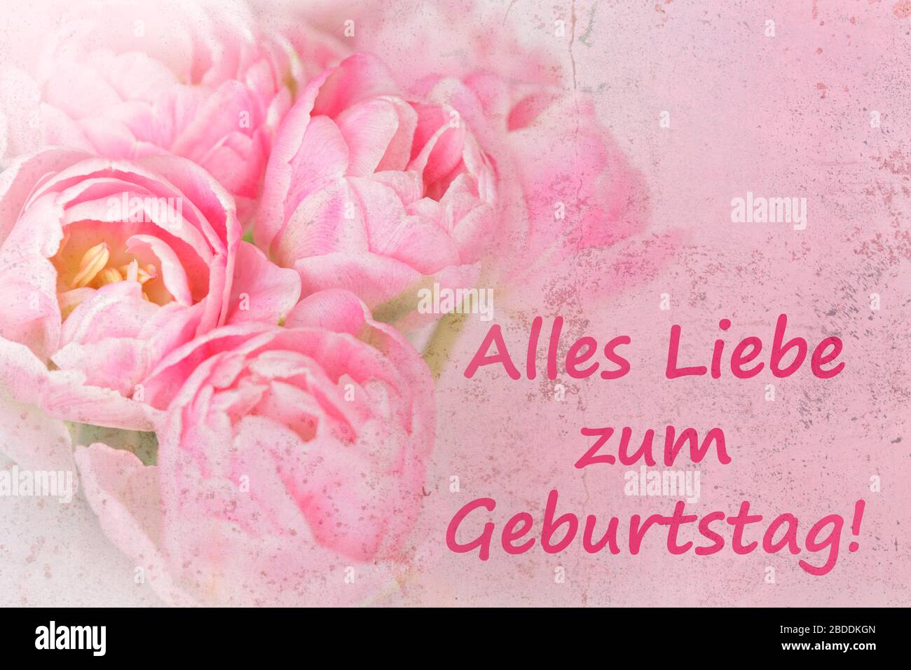 Vorlage für nostalgische Grußkarten. Rosa Blumen mit Text: Alles gute zum Geburtstag in deutscher Sprache, verärgerter Grunge-Effekt. Stockfoto