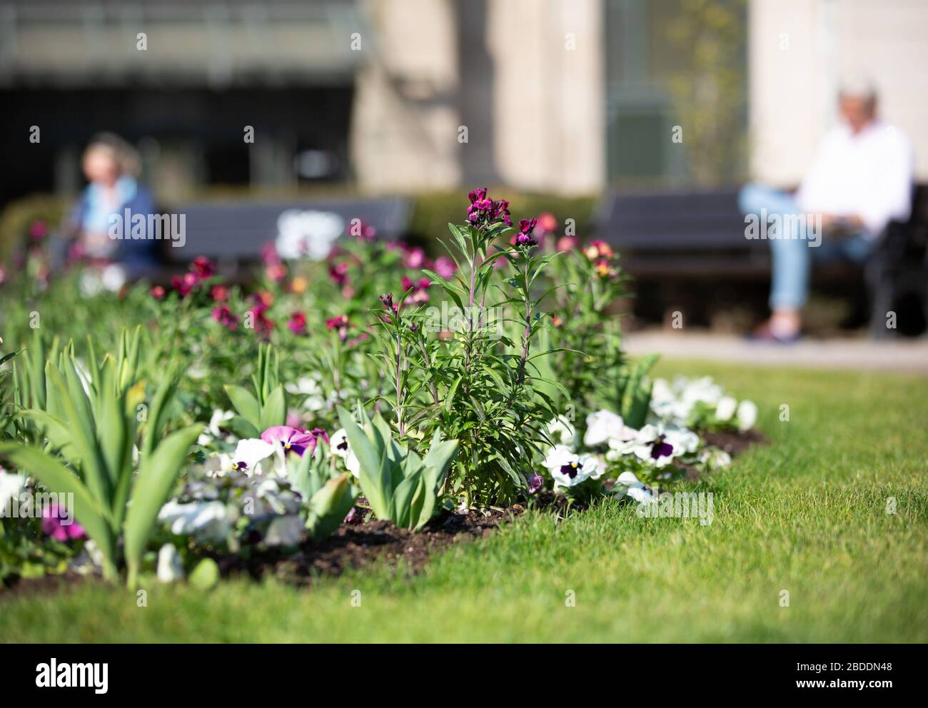 Düsseldorf, Deutschland. April 2020. Besucher eines Parks genießen die Mittagssonne in Düsseldorf bei weitem. Kredit: Martin Gerten / dpa / Alamy Live News Stockfoto