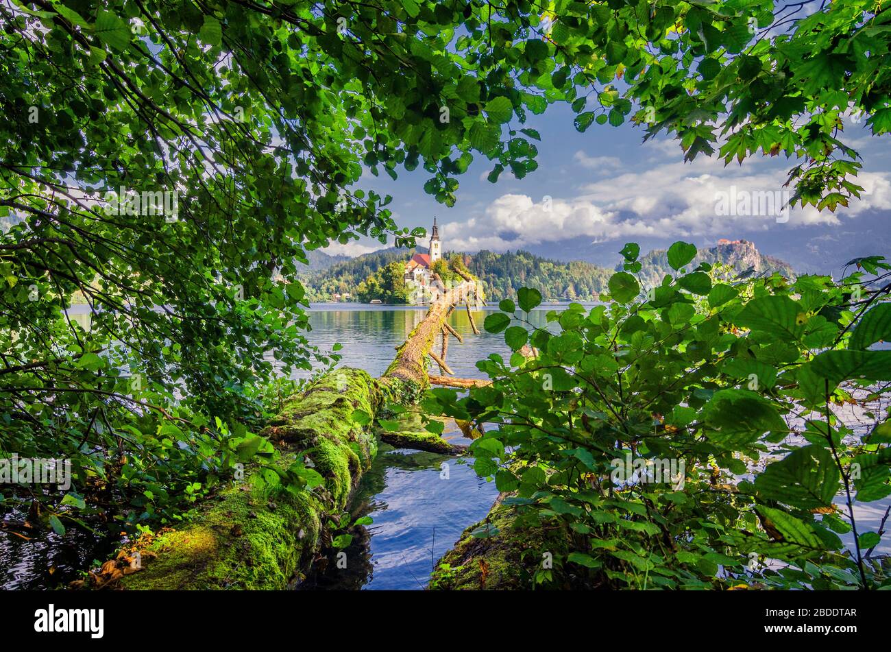 Bled Lake Landschaft. Kreative, ungewöhnliche Landschaft am Bleder See in Slowenien. Sommer-Postkarte aus Slowenien, Europa. Stockfoto