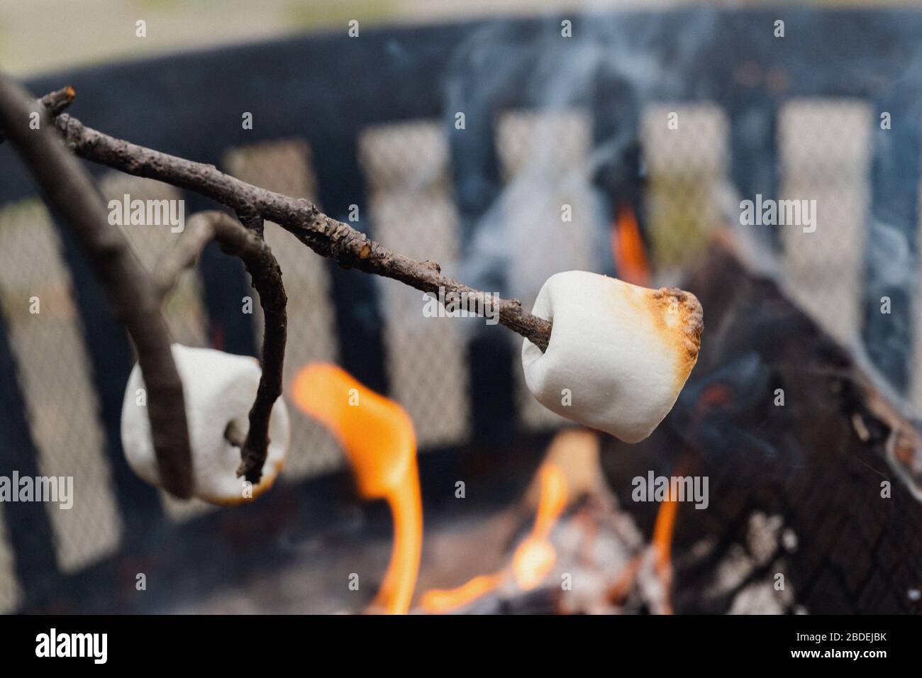 Braten Marshmallows über Feuer Stockfoto