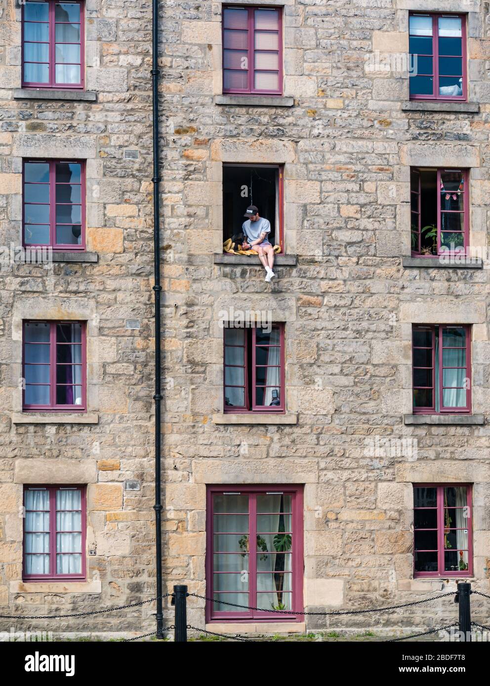 Leith, Edinburgh, Schottland, Großbritannien. April 2020. Covid-19 Lockdown: An einem der wärmsten Sonnentage in diesem Jahr mit Menschen in Lockdown. Ein Mann und sein Hund sitzen in einem offenen Fenster im 3. Stock des Cooperage-Lagers, das in Wohnungen am Ufer entlang des Leith-Wassers umgewandelt wurde, prekär Stockfoto