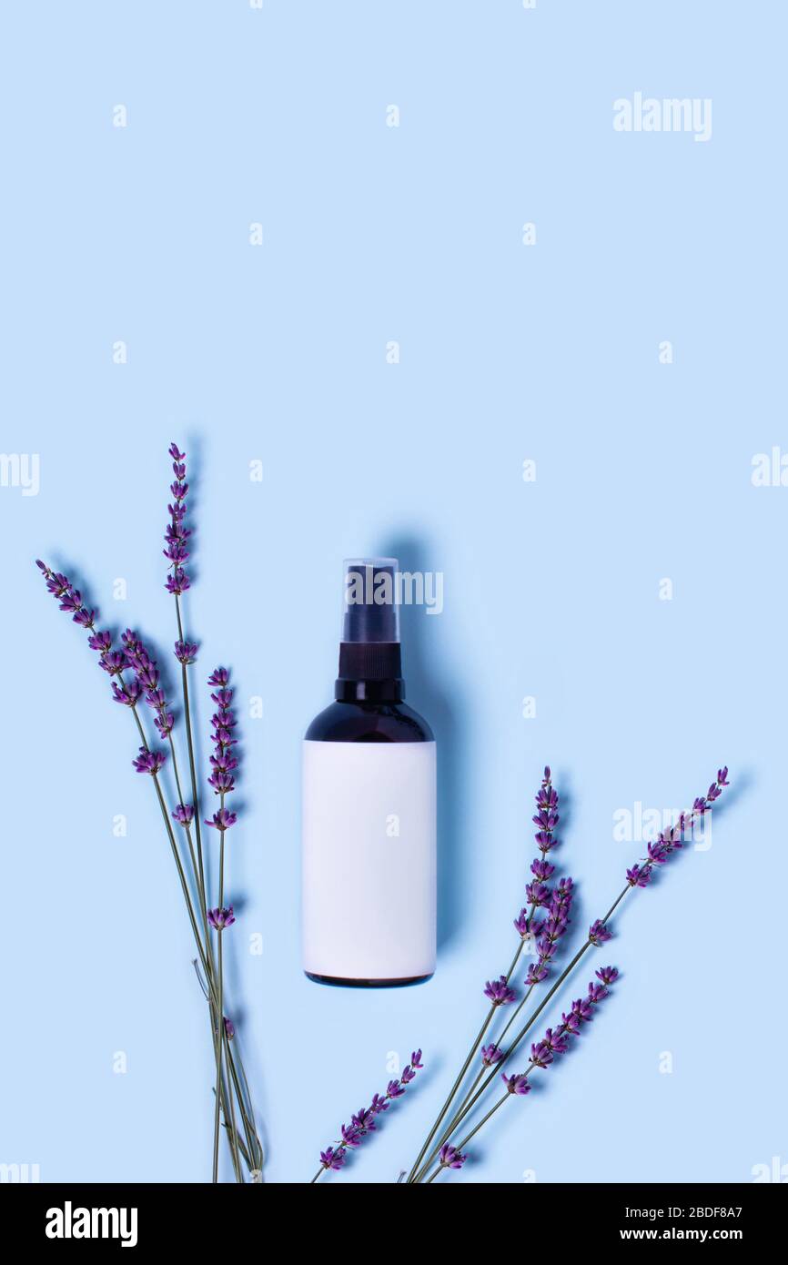 Werbebild. Glassprühflasche auf blauem Hintergrund, umgeben von Lavendel. Stockfoto