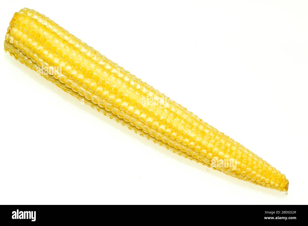 Baby Sweetcorn auf weißem Hintergrund. Stockfoto