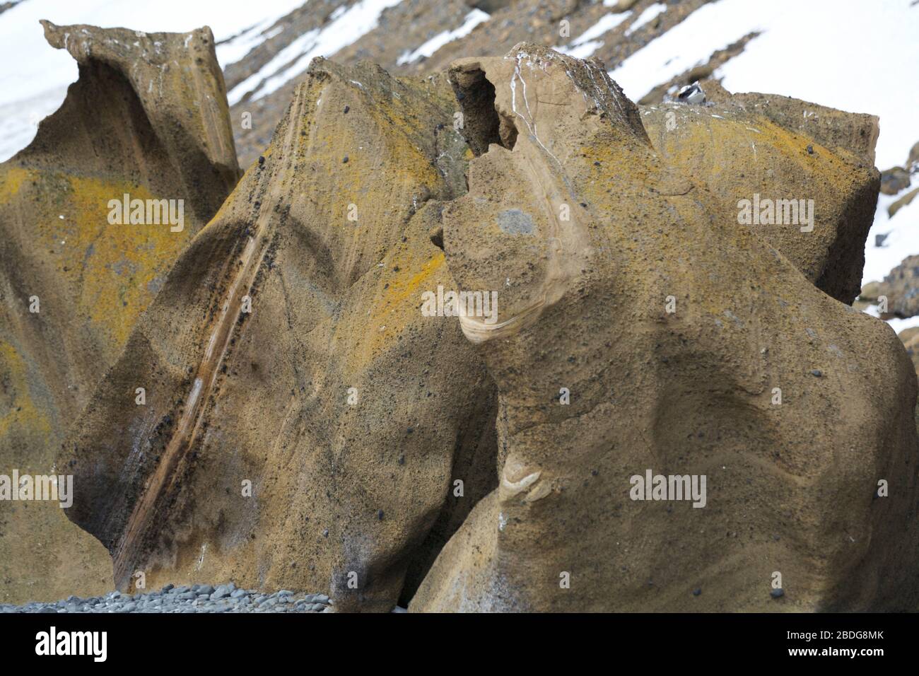 Felsen bei Brown Bluff Antarktis Stockfoto