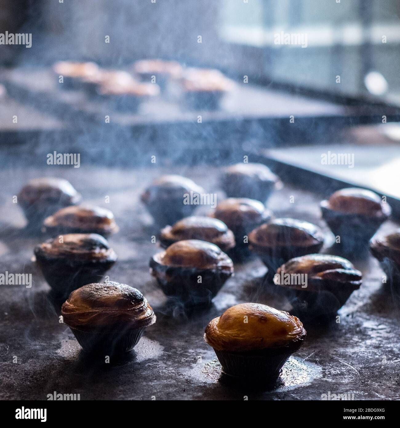 Pastéis de Nata (Kustardtörtchen) wird von Hand in Borba, Alentejo, Portugal, hergestellt Stockfoto