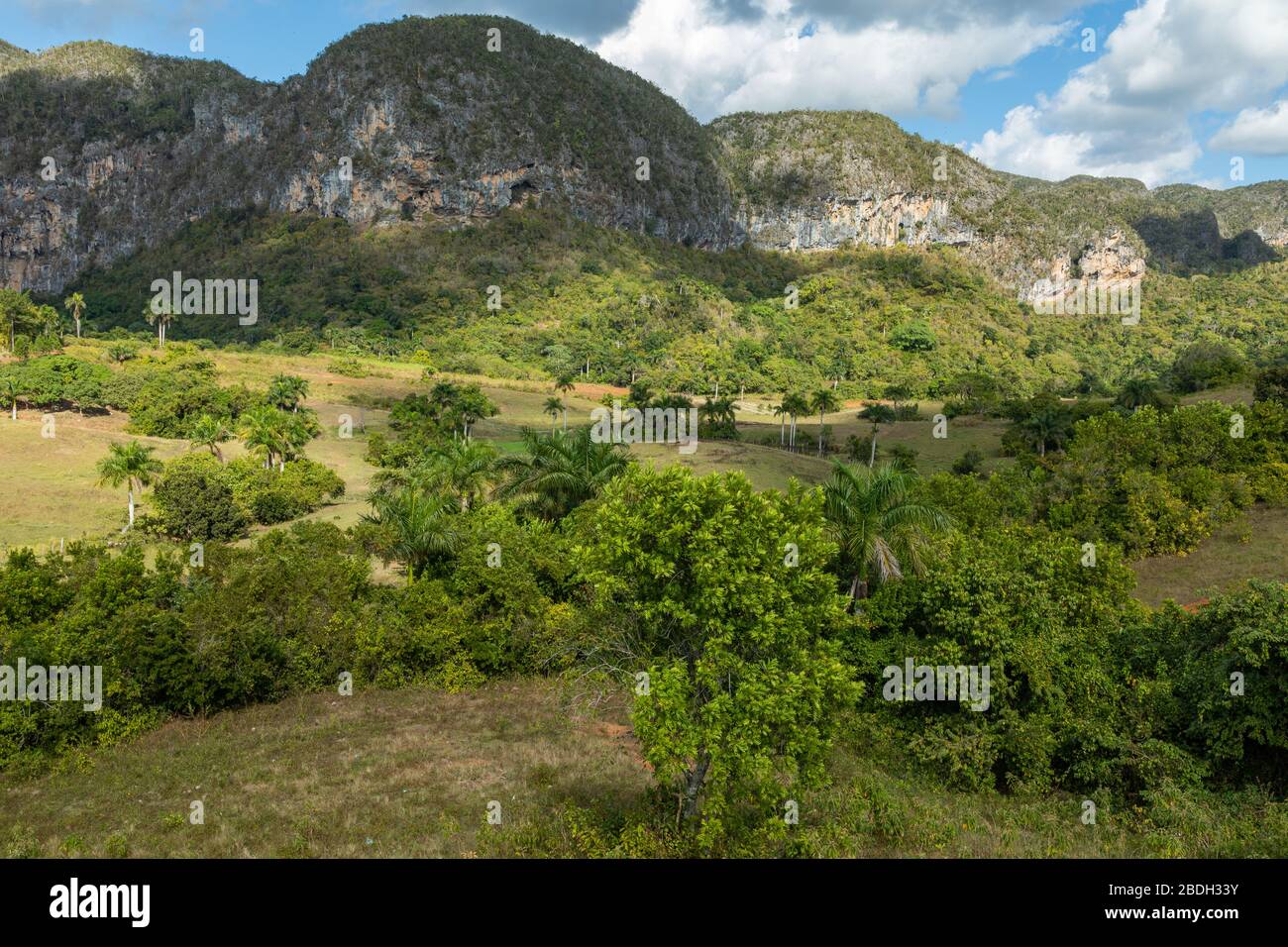 Das Vinales Valley (Valle de Vinales), ein beliebtes Touristenziel. Tabakplantage. Pinar del Rio, Kuba. Stockfoto