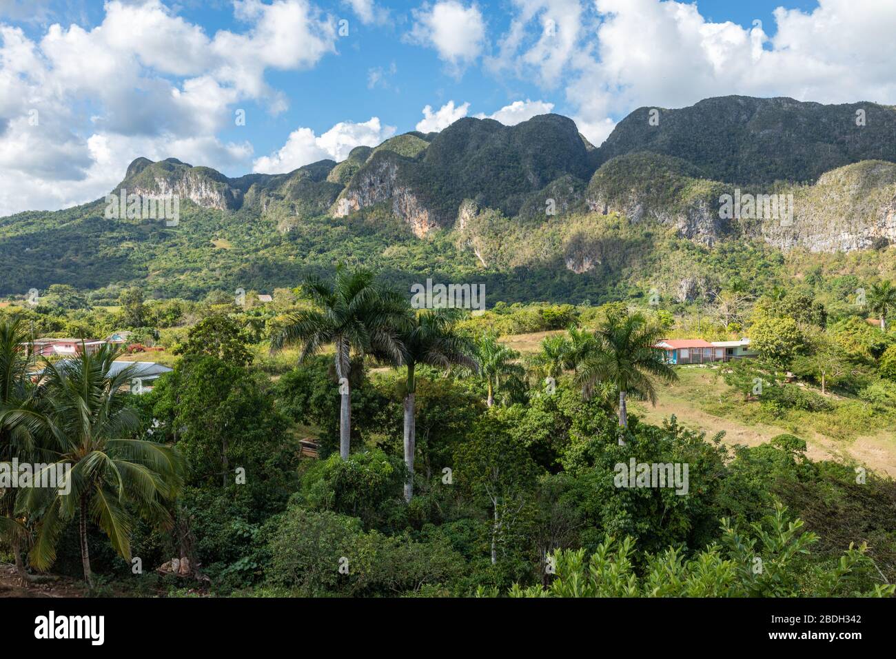 Das Vinales Valley (Valle de Vinales), ein beliebtes Touristenziel. Tabakplantage. Pinar del Rio, Kuba. Stockfoto