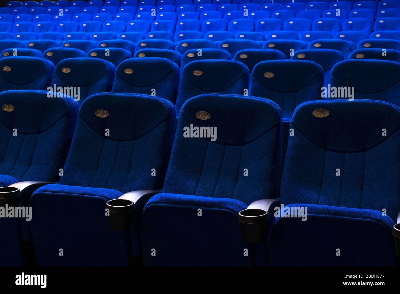 Leere bequeme rote Sitze mit Zahlen im Kino Allgemeiner Plan von leeren  blauen Kinositzen. Menschenleeres Kino. Film ansehen. Neuer Film  Stockfotografie - Alamy