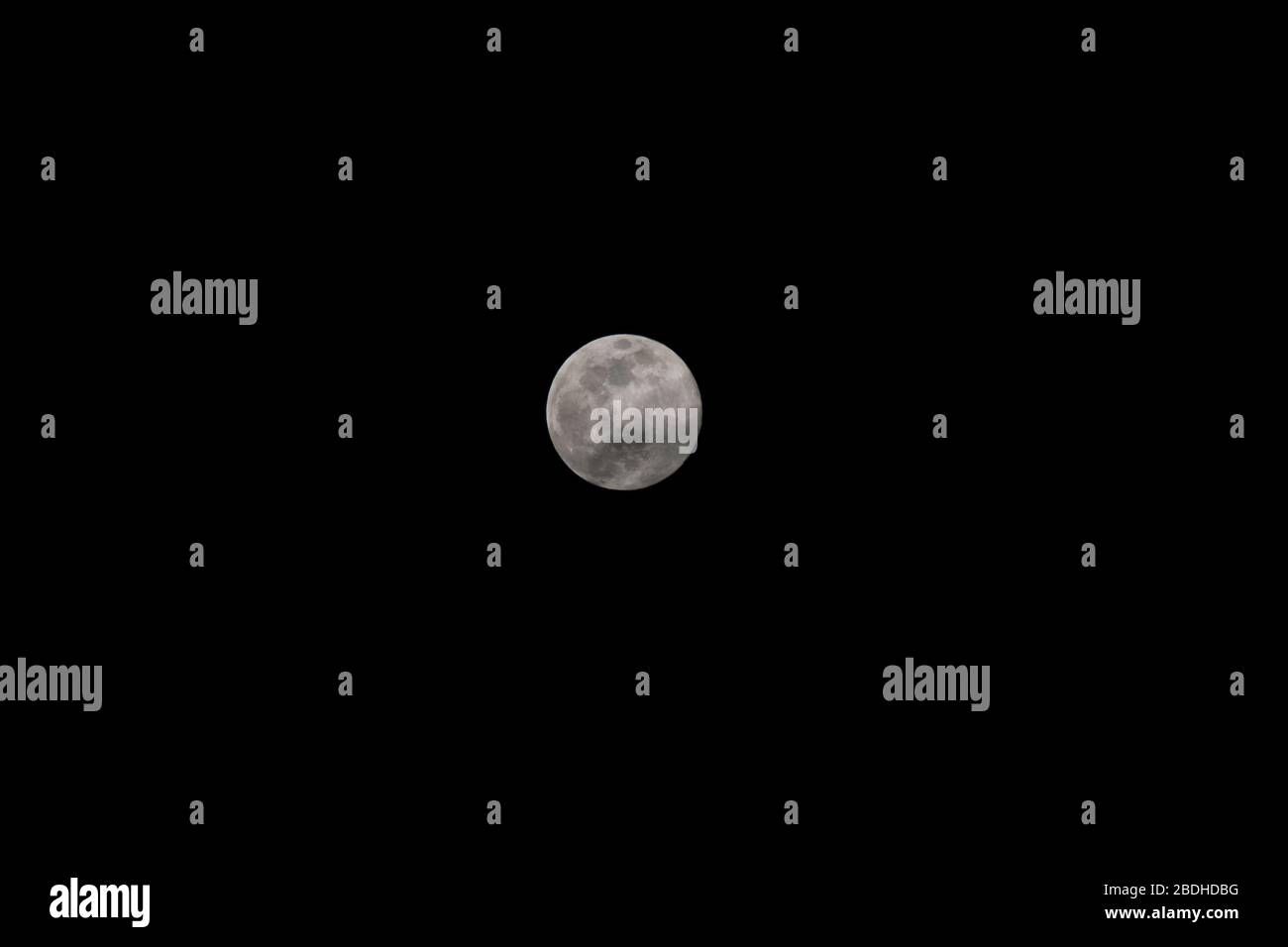 Der Pink Supermoon vom 7. April 2020 an einem reinen schwarzen Himmel Stockfoto