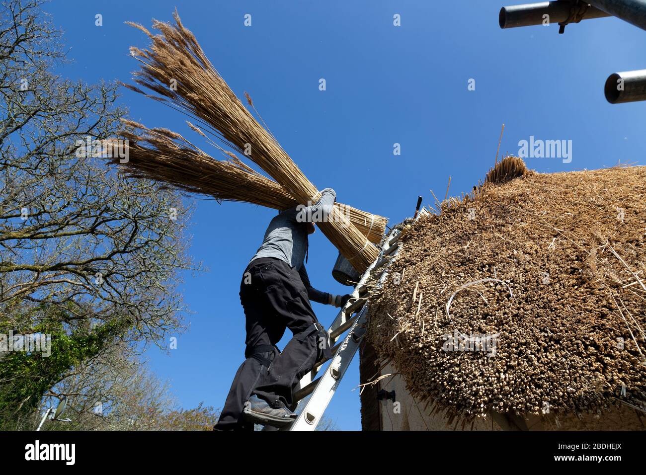Fotos Auf Dem Strohdach, Fotos Auf Dem Dach, Fotos Reparieren, Fotos Auf Dem Bauernhof, Fotos Aus Der Baubranche, Arbeitsfotos, Fotos, Reed, Stockfoto