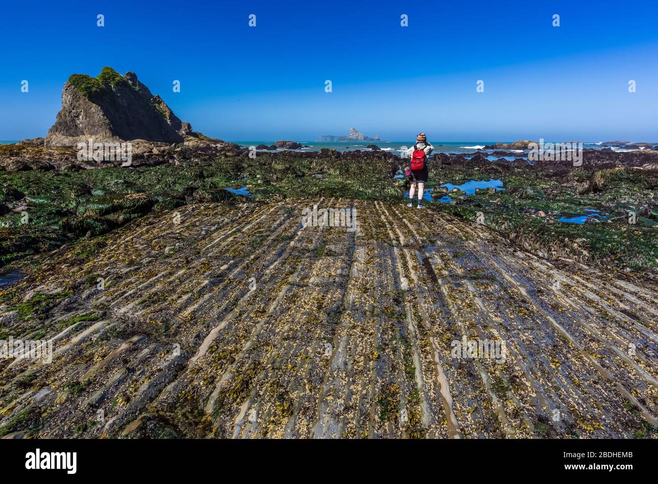 Parallele Felslinien, die bei Ebbe am Rialto Beach im Olympic National Park, Washington State, USA, aufgedeckt wurden Stockfoto