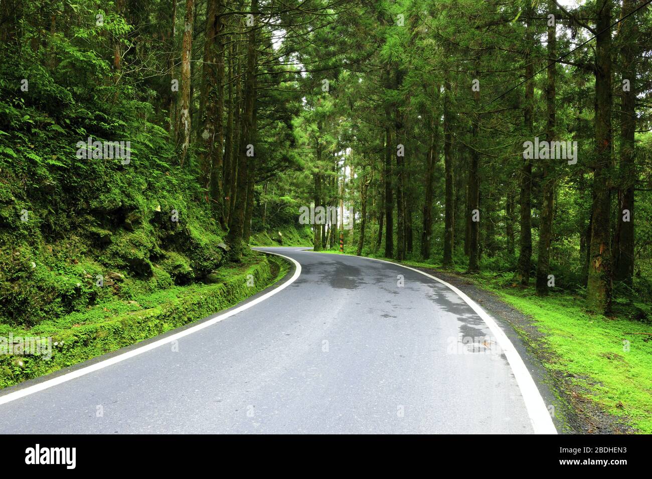 Mingchi National Forest Recreation Area Taiwan Stockfoto