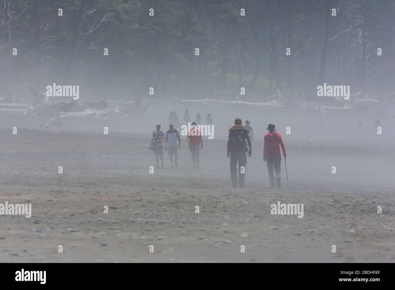 Tageswanderer am Rialto Beach im Olympic National Park, Washington State, USA [Keine Modellveröffentlichungen; nur für redaktionelle Lizenzierung verfügbar] Stockfoto