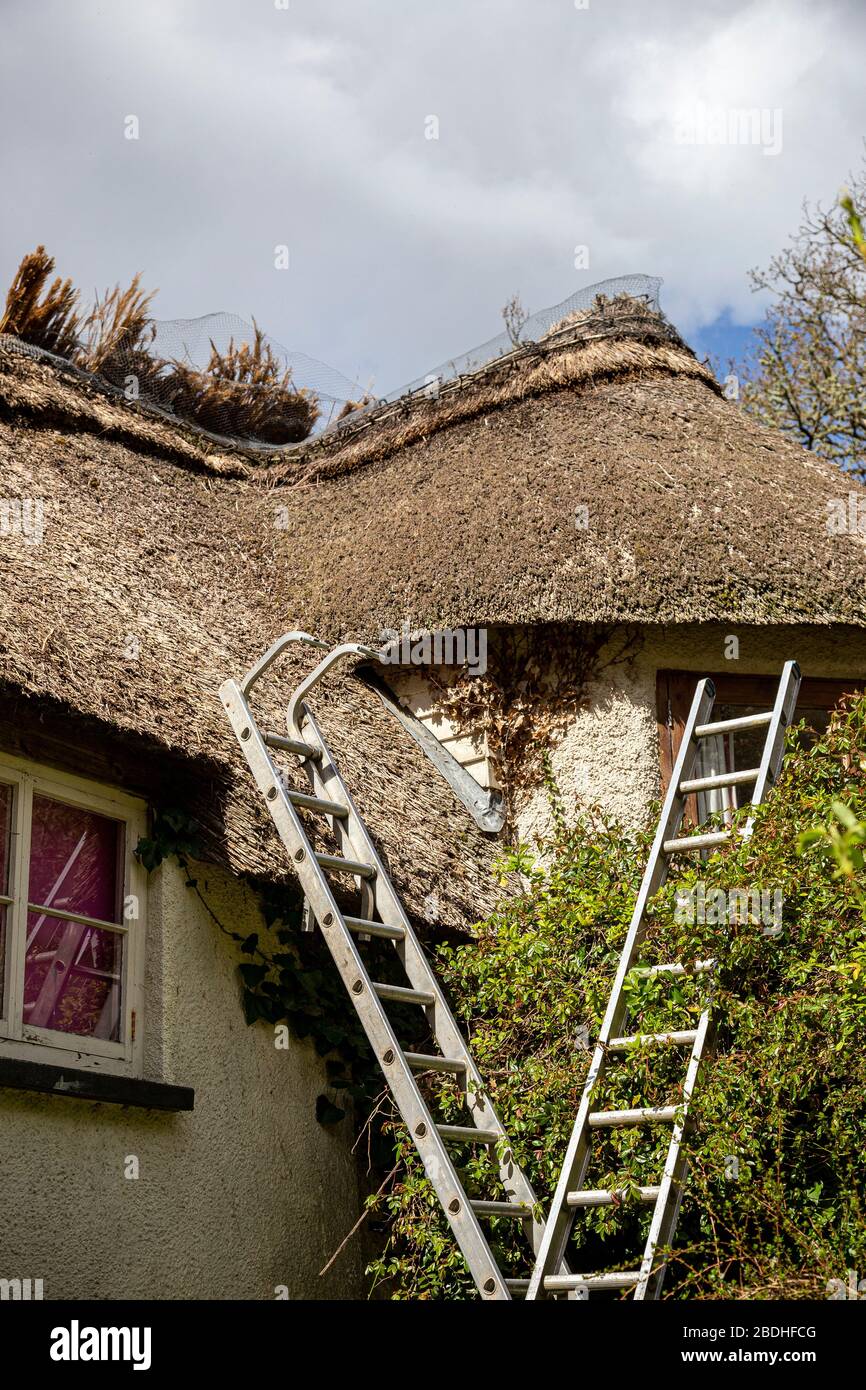 Fotos Auf Dem Strohdach, Fotos Auf Dem Dach, Fotos Reparieren, Fotos Auf Dem Bauernhof, Fotos Aus Der Baubranche, Arbeitsfotos, Fotos, Reed, Stockfoto