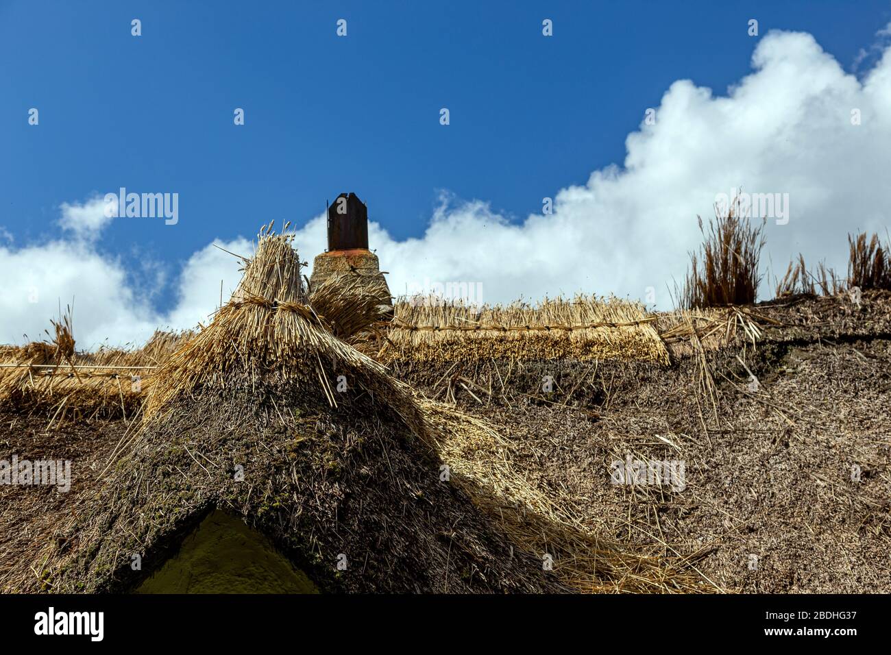 Fotos Auf Dem Strohdach, Fotos Auf Dem Dach, Fotos Reparieren, Fotos Auf Dem Bauernhof, Fotos Aus Der Baubranche, Arbeitsfotos, Fotos, Reed, Stockfoto
