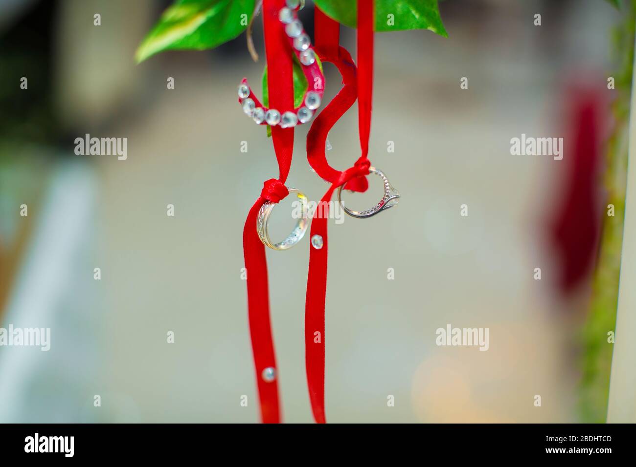Die Ringe hingen von einem roten Band. Zwei Hochzeitsringe hingen an einem Baumzweig . Stockfoto