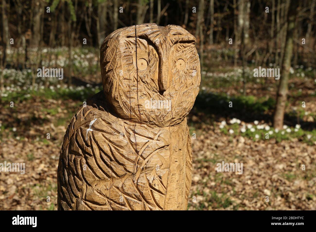 Im Wald steht die Figur einer Eule, die von einem Baum beplankt ist Stockfoto