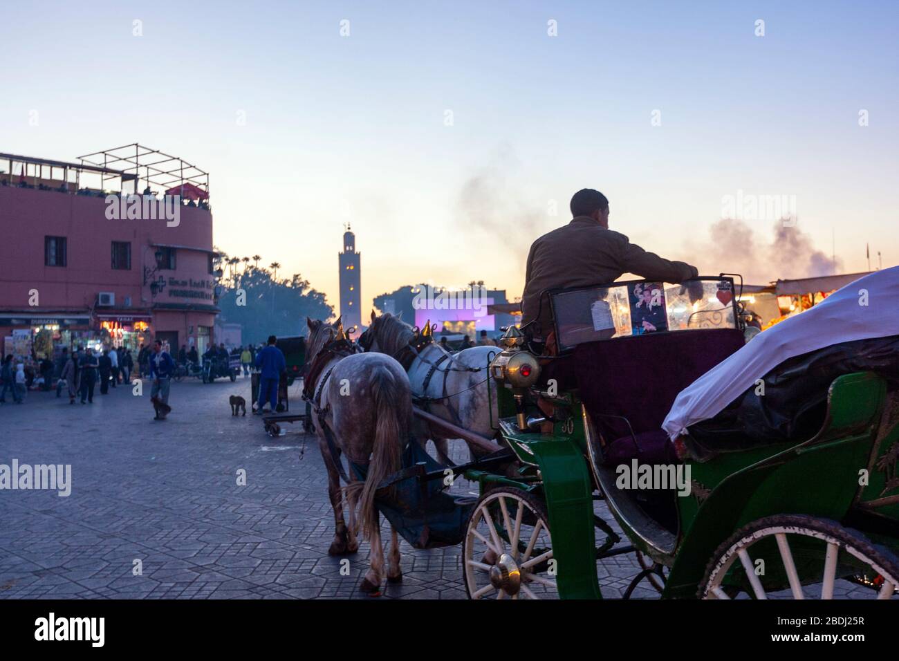 Touristenpferde in Jemaa el-Fnaa, Marrakesch Stockfoto