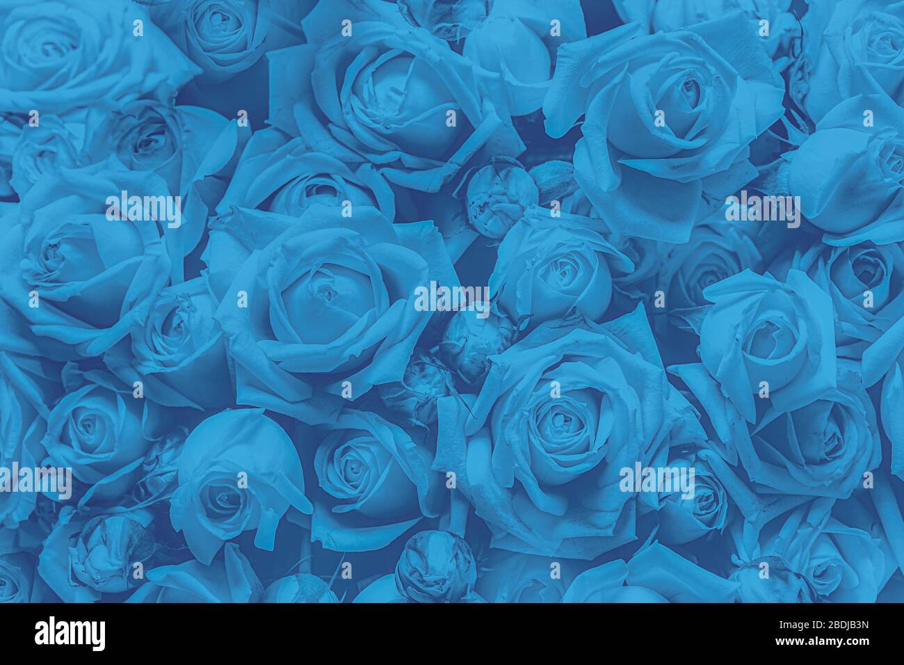 Die blaue Blume, die blaue Blume aus Kunststofffaser. Künstliche Blumen aus synthetischen Stoffen. Stockfoto