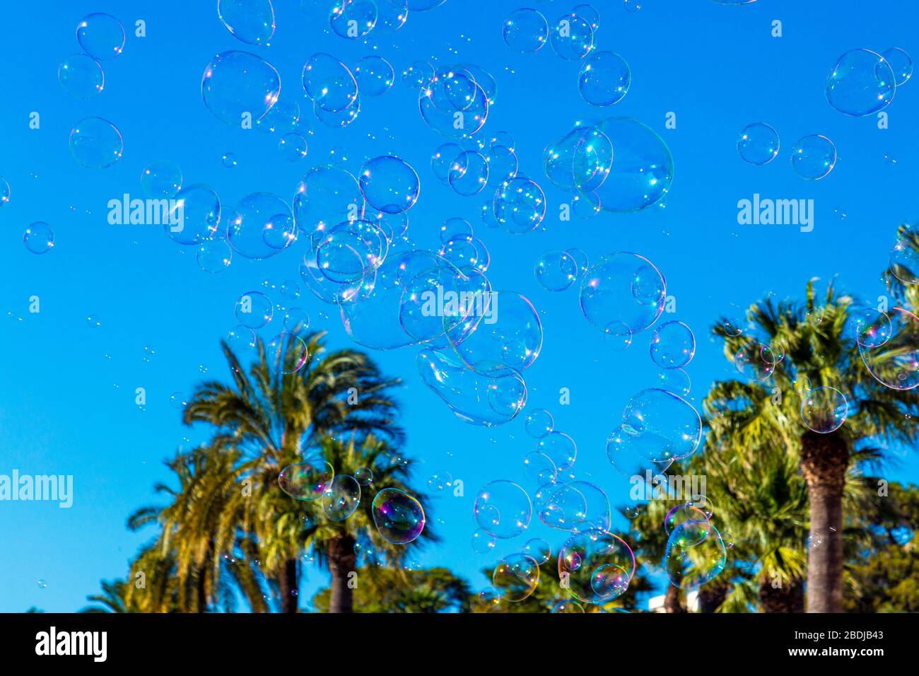 Seifenblasen gegen blauen Himmel und Palmen, Sevilla, Andalusien, Spanien Stockfoto