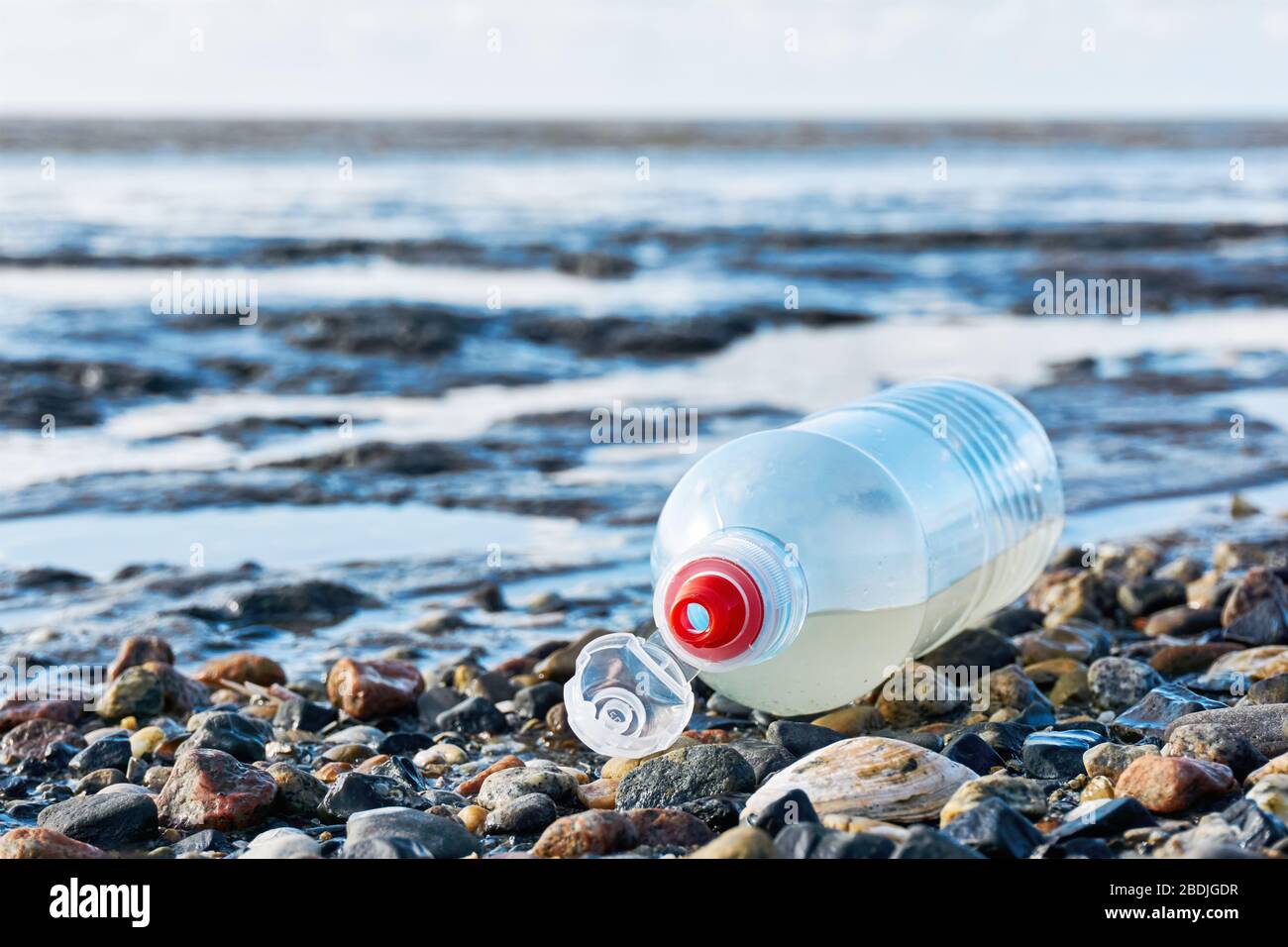 Plastikflasche mit rotem Flaschenverschluss an einem steinigen Strand mit Muscheln bei Ebbe. Konzept der plastischen Verschmutzung des Meeres und der Meeresbewohner. Stockfoto
