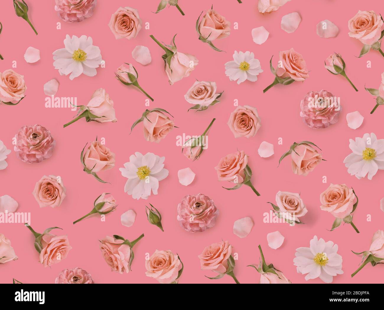 Nahtlose Blumenmuster aus rosafarbenen Blumen und Rosenknospen. Flache Lage, Draufsicht. Valentines Hintergrund. Blumenhintergrund. Warmes Blumenmuster Stockfoto