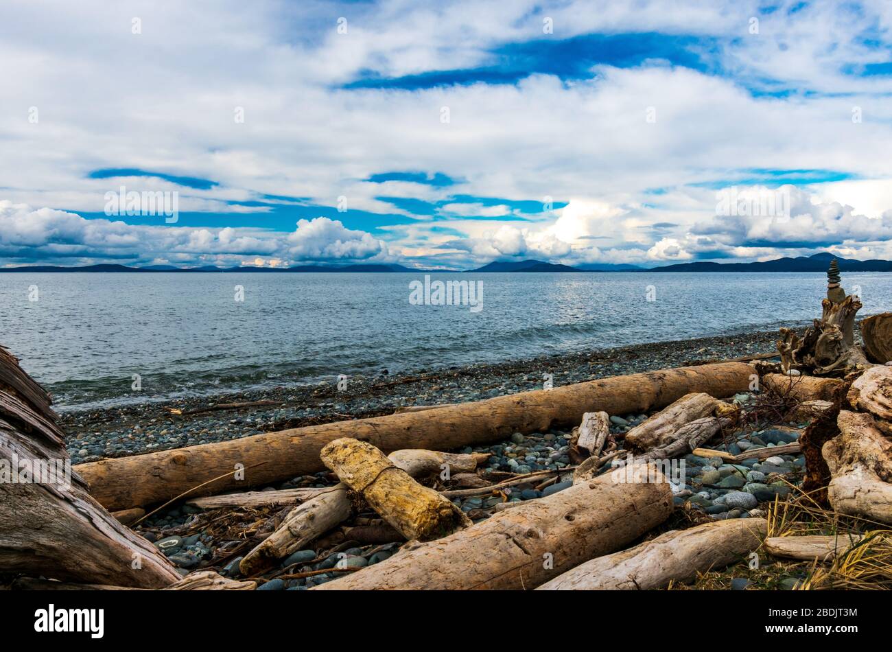 Whidbey Island Beach mit Driftwood, Washington, USA Stockfoto