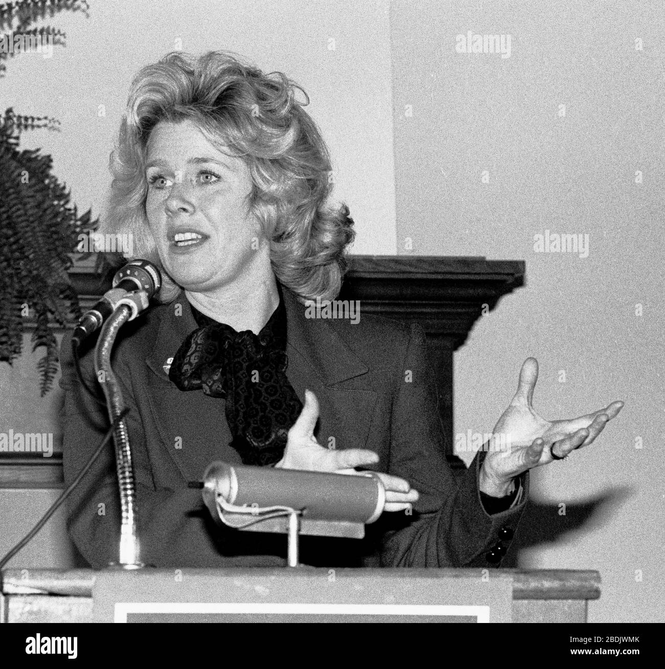 Mary Elizabeth Tipper Gore kämpft im März 1988 für ihren Mann im Saint Francise Yacht Club in San Francisco, Kalifornien Stockfoto