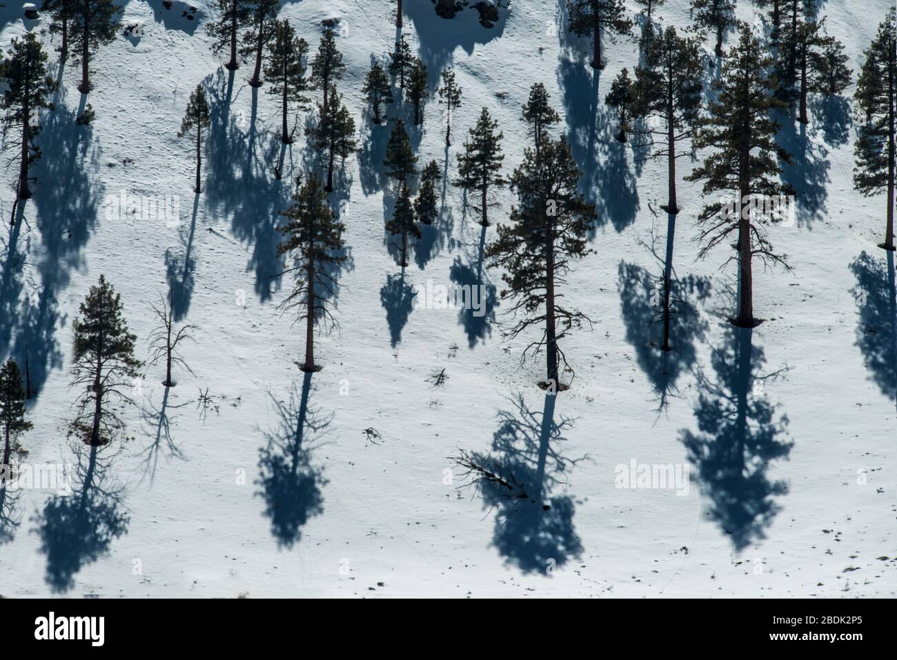 Eine reiche Gebirgskette der östlichen sierras im nördlichen califor Stockfoto