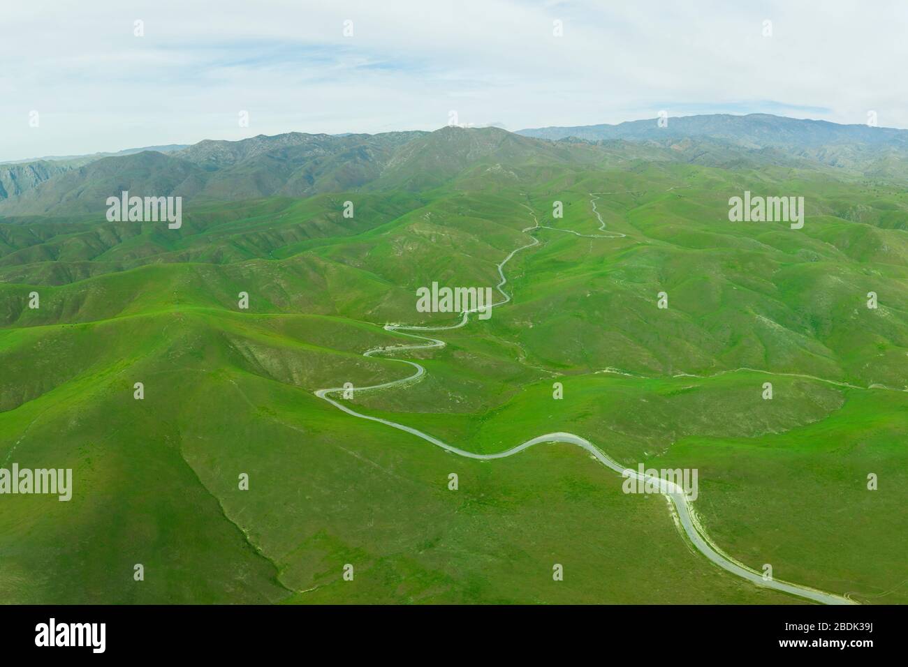 Green Rolling Hills idyllische Szene in Kalifornien nach Heavy Spri Stockfoto