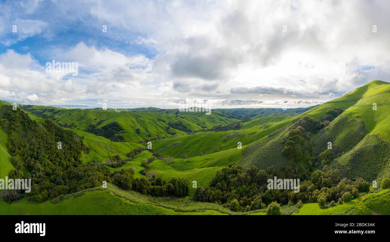 Green Rolling Hills idyllische Szene in Kalifornien nach Heavy Spri Stockfoto