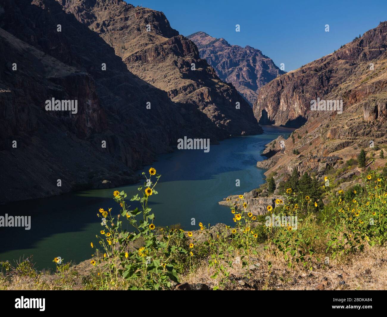 Der Snake River im Hells Canyon, der Grenzer zwischen Oregon und Idaho USA Stockfoto