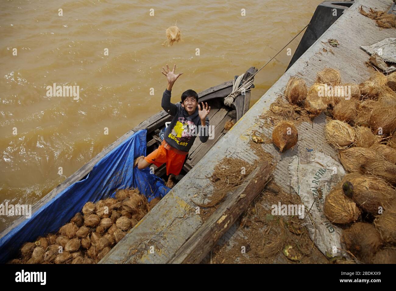 Mann, der getrocknete Kokosnüsse von einem Boot zur Plattform des Hafens Muara Sabak in der indonesischen Provinz Jambi transportiert. © Reynold Sumayku Stockfoto