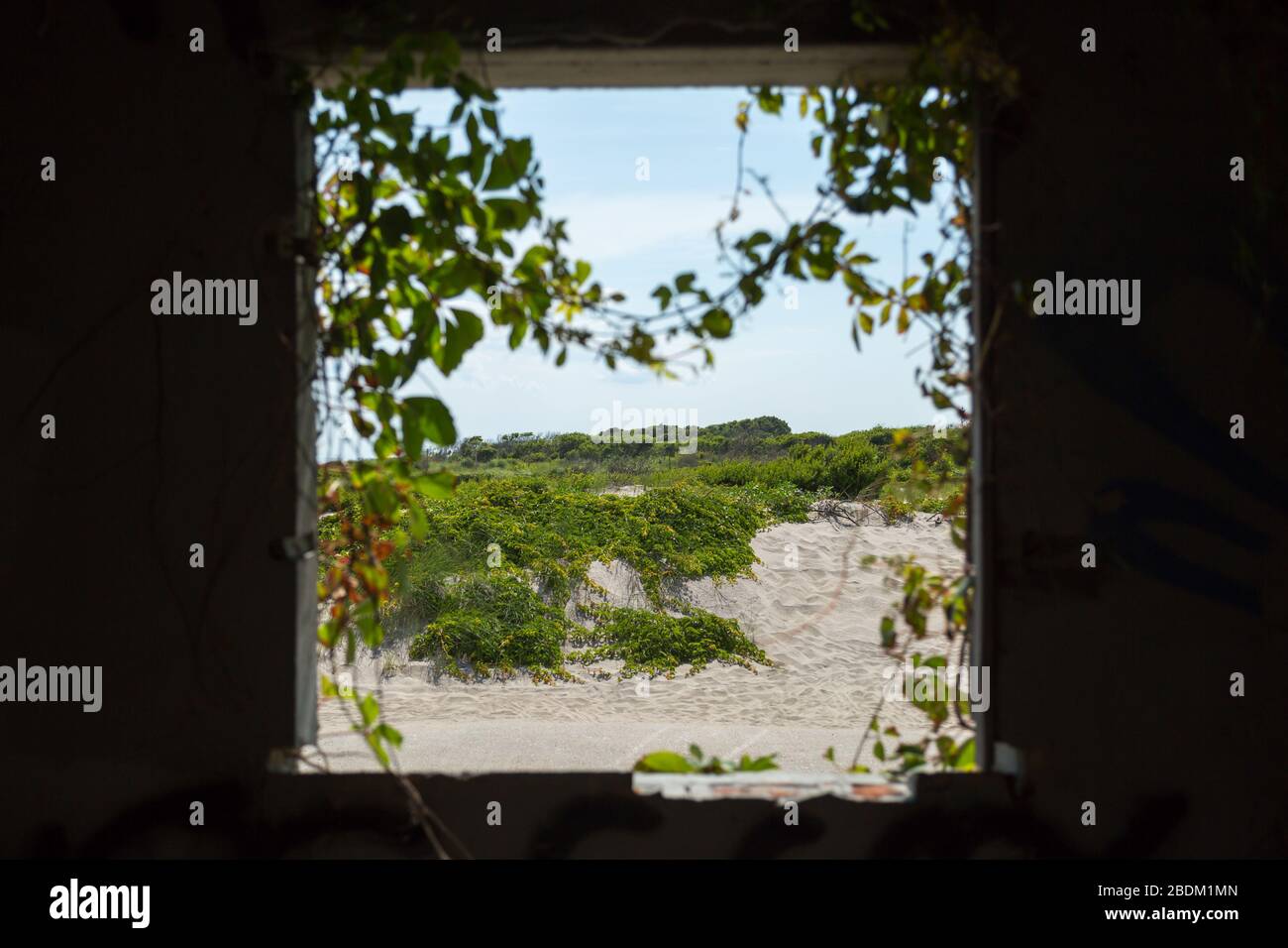 Ein verlassene Fenster mit grünen Reben bewachsen. Stockfoto