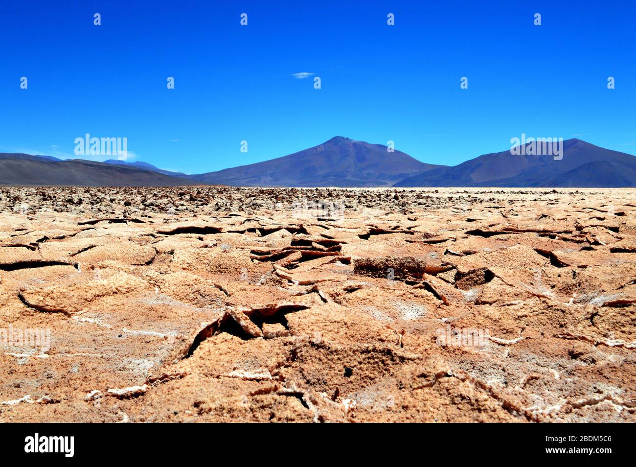 Detail der unregelmäßigen Oberfläche der Salar Pocitos, Salta, Argentinien Stockfoto
