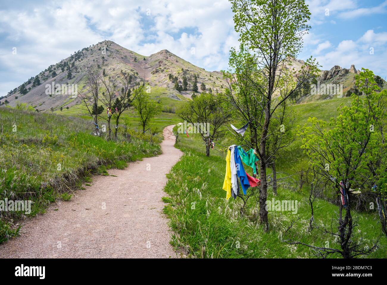 Ein herrlicher Blick auf die felsige Landschaft des Bear Butte State Park, South Dakota Stockfoto