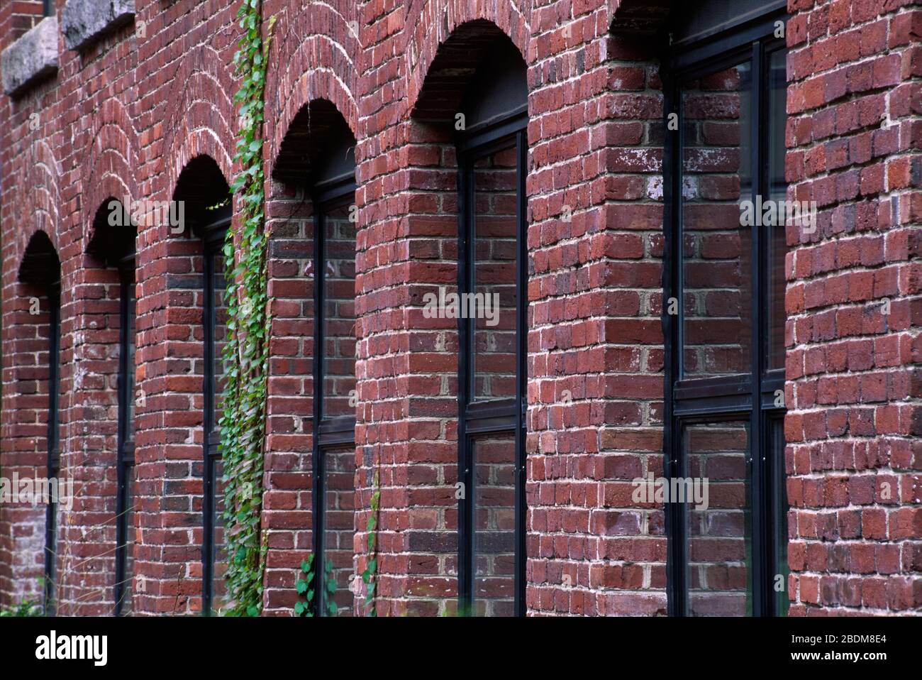 Lowell Mills Windows, Lowell National Historical Park, Massachusetts Stockfoto