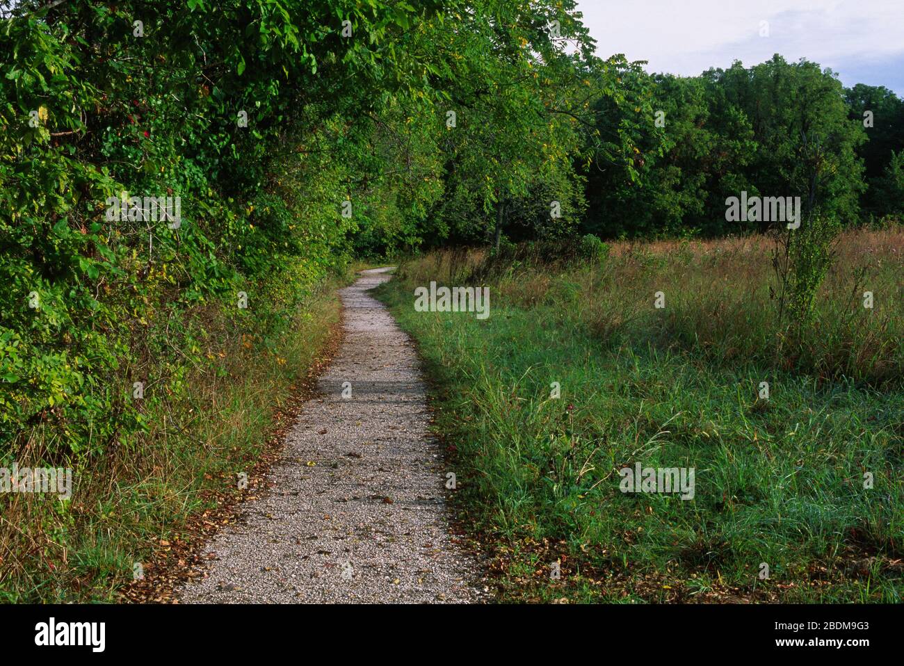 Carver Trail, George Washington Carver National Monument, Missouri Stockfoto