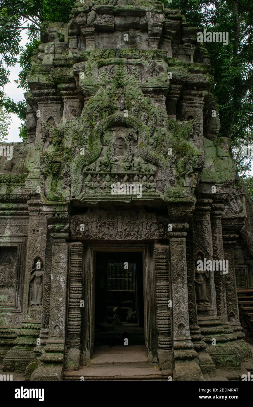 Khmer Ruinen bei Ta Prohm von der Natur übernommen Stockfoto