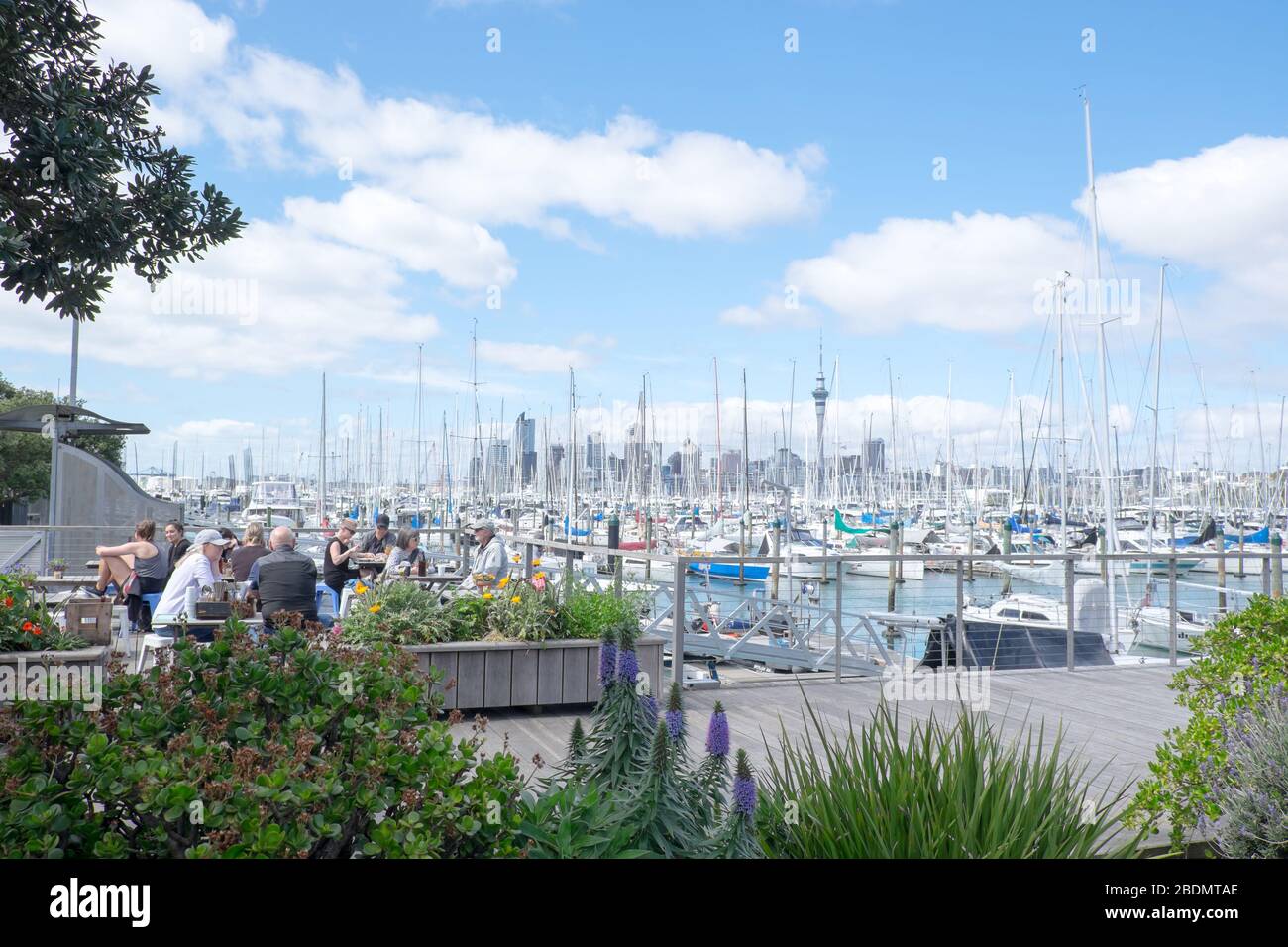 Auckland, Neuseeland, NZ - 16. September 2020: Menschen im Outdoor-Café in Westhaven Marina. Stockfoto