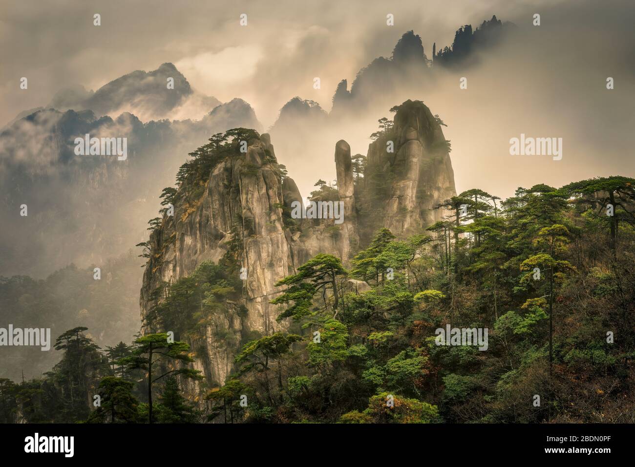 Morgen am Mt. Huangshan, Berggipfel kommen aus Wolken und Nebel. Stockfoto