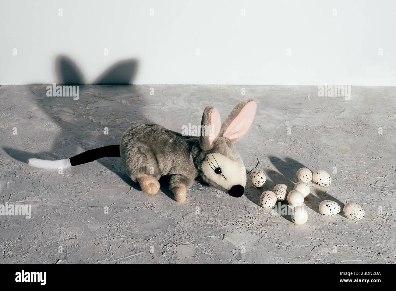 Australische Milchschokolade Bilby Wachteleier mit Eiern auf grungem grauem Hintergrund. Osterkonzept. Stockfoto
