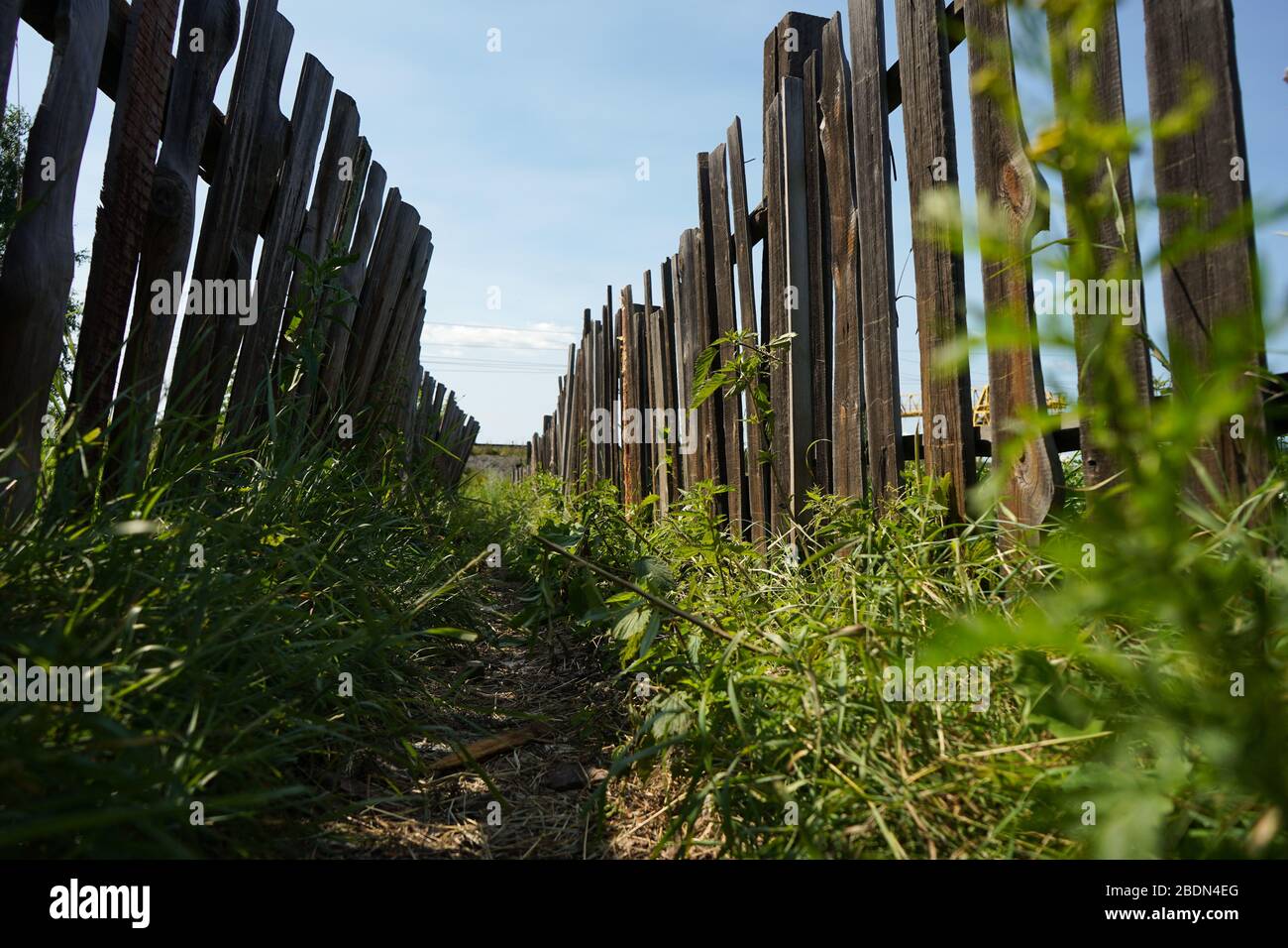Der Weg zwischen den Zäunen. Ländliche Landschaft. Alte baufällige klapprige Holzzäunung. Sommer sonniger Tag mit blauem Himmel Stockfoto