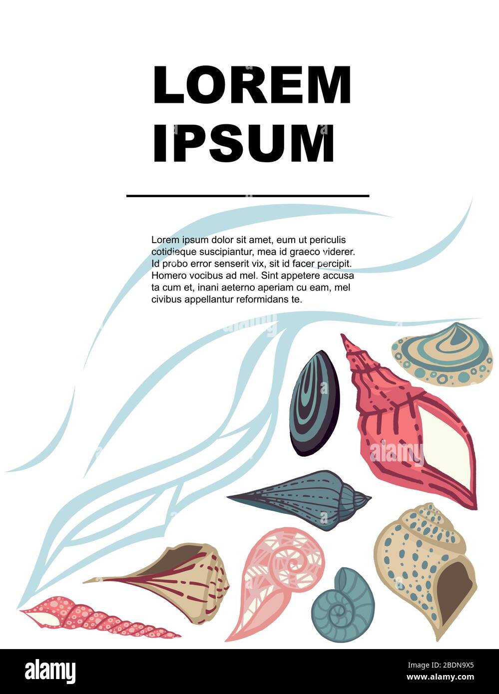 Große unterschiedliche Seashell Kollektion Werbeflyer Grußkarte Design farbige tropische Schalen flache Vektorgrafiken auf weißem Hintergrund Stock Vektor