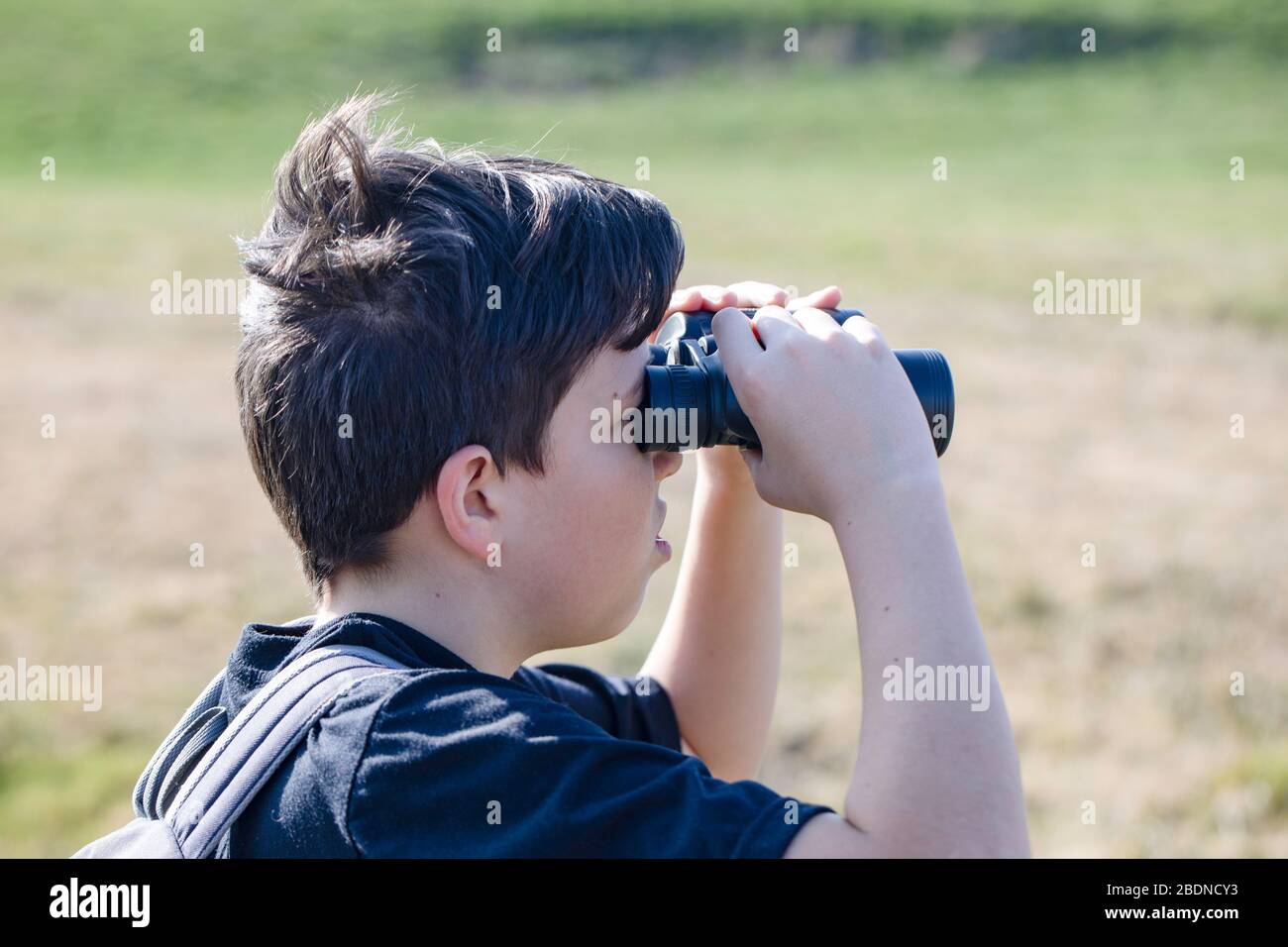 Junge, die durch Ferngläser schauen, Vögel beobachten und die Natur erkunden.. Stockfoto
