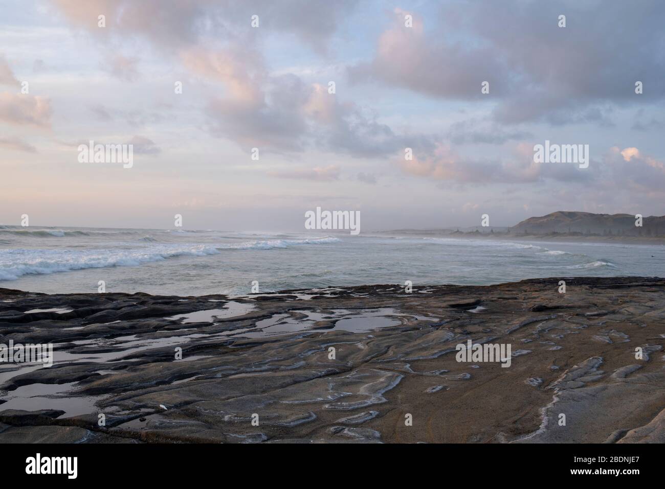 Auckland, Neuseeland. Blick auf den Muriwai Strand Stockfoto