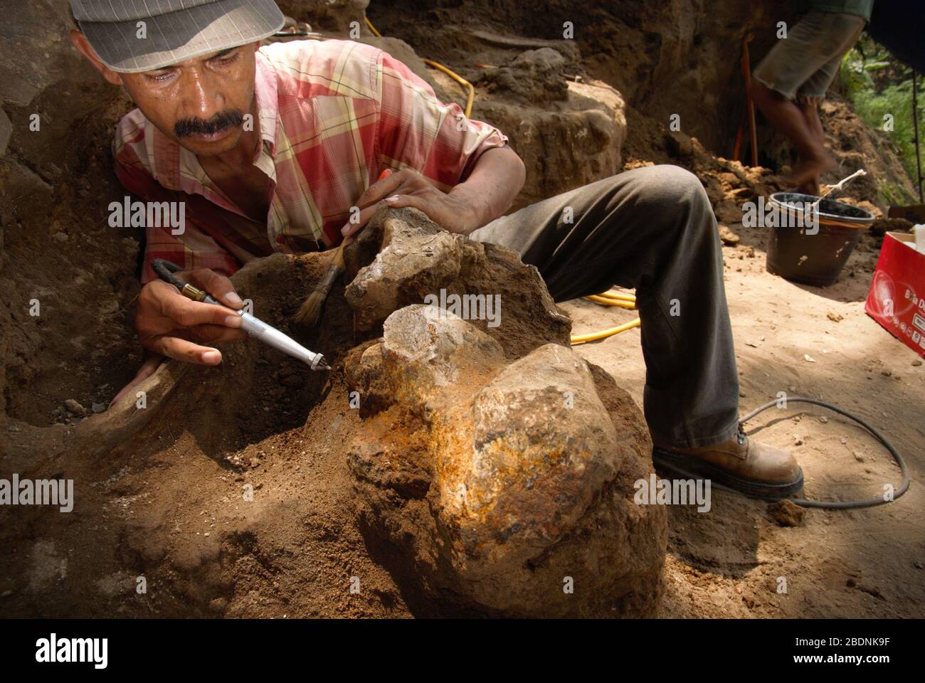 Der Paläontologe Iwan Kurniawan arbeitet an der Ausgrabung versteinerter Knochen von Elephas hysudrindicus in Blora, Zentraljava, Indonesien. Stockfoto