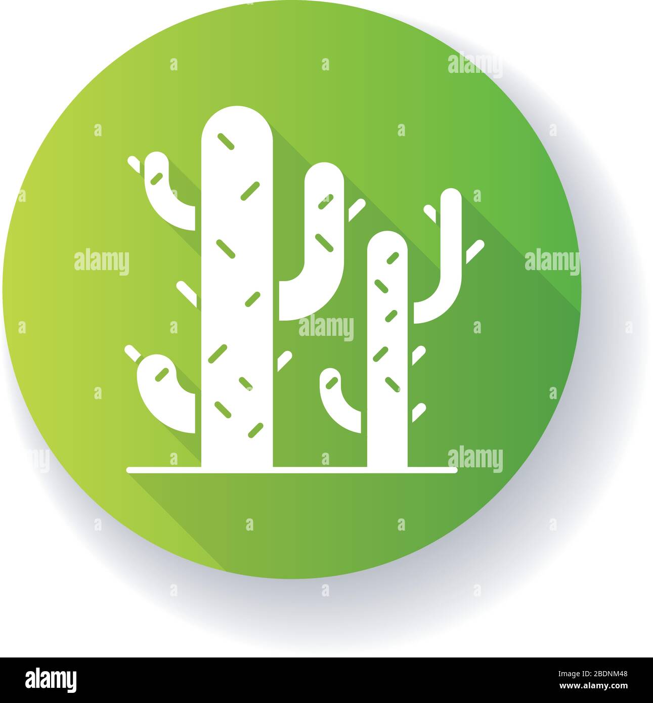 Cacti grün flaches Design langer Schatten Glyphe Symbol. Wüstenpflanzen. Saguaro Kaktus. Stacheliger Baum wie saftig. Amerikanische aride Gegend dornige Wildblume Stock Vektor