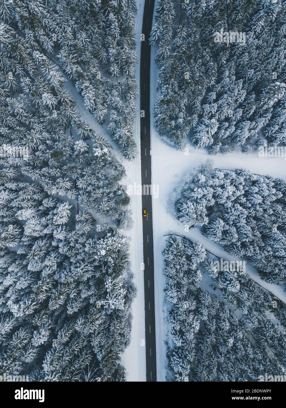 Drohnenschuss/Luftaufnahme von Bäumen mit Schnee von oben mit gelbem Auto bedeckt Stockfoto