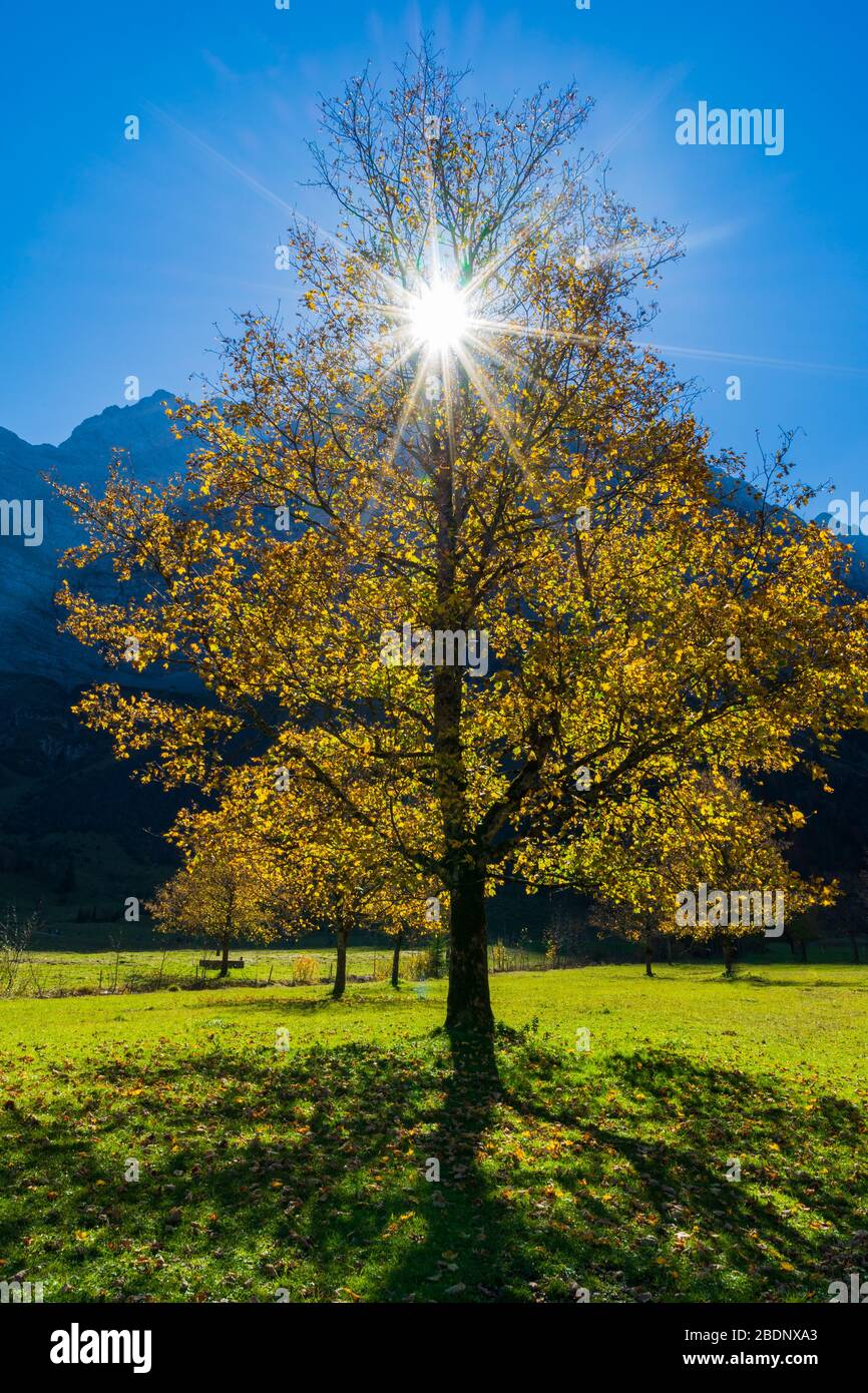 Herbst in einem schönen Tal namens großer Ahornboden in Österreich Stockfoto